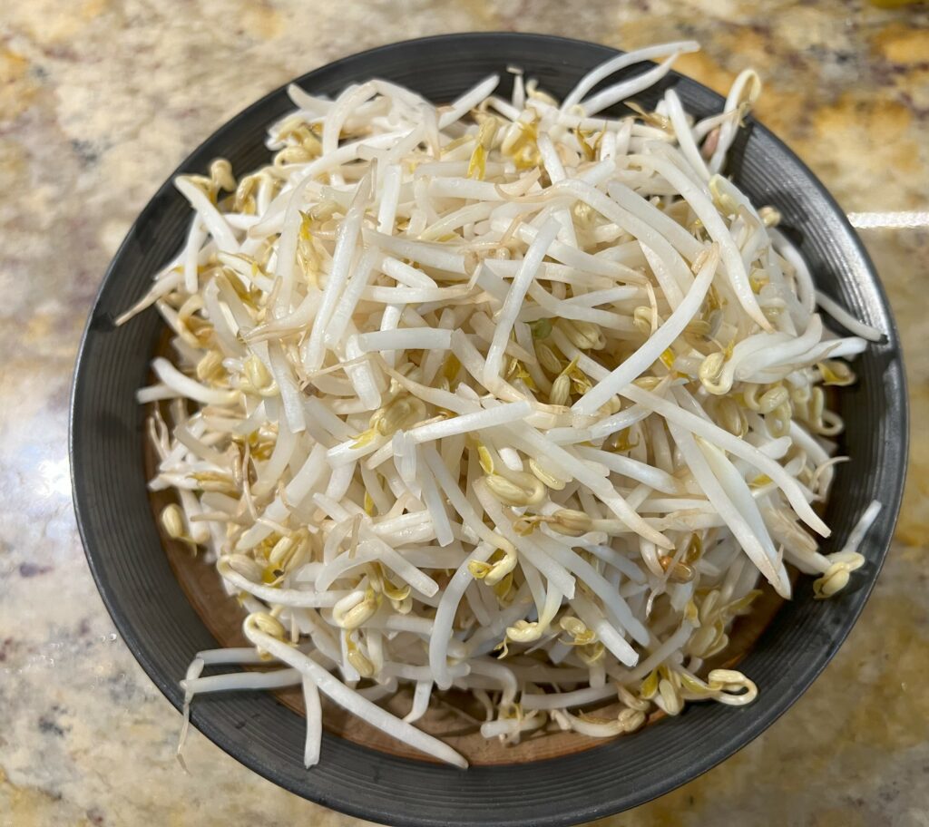 Bean Sprouts